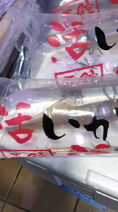 スーパーに活いかの記事動画