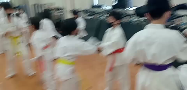 組手が凄かったの記事動画