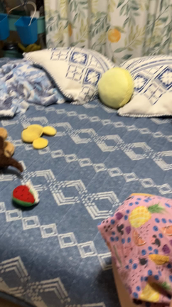 特徴は？の記事動画