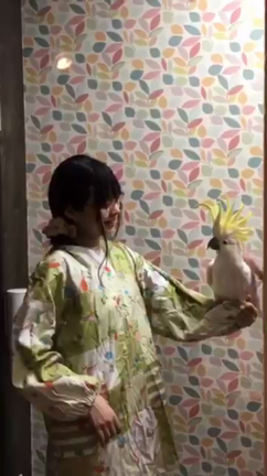 ゆかたん、キバタン、オオバタン☆の記事動画