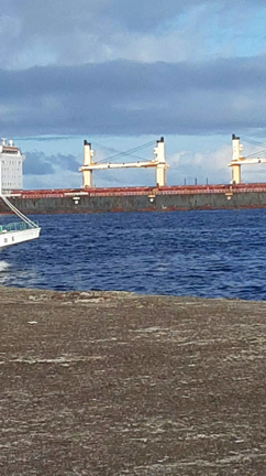 夜イカ船の記事動画