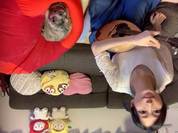 はじめてのマンドリンの記事動画