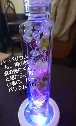 今日は七草粥の日の記事動画