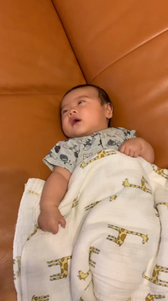 ほんとに、よくしゃべるの記事動画