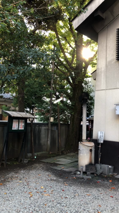 アカシックレコードリーディング・練馬東神社に宇宙系アカシックリーダー朋子と来ると精霊たちも❤️の記事動画