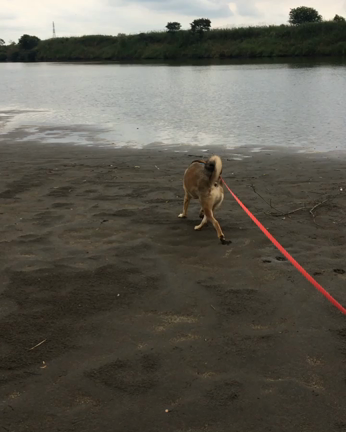 お、お、お久しぶりの記事動画