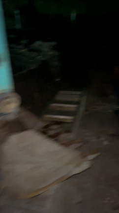 だいぶ涼しいですね〜の記事動画