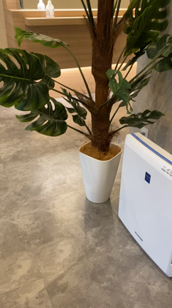 100点満点。の記事動画