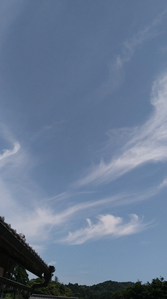 今日の空はお祭り騒ぎ(ﾉ*0*)ﾉの記事動画