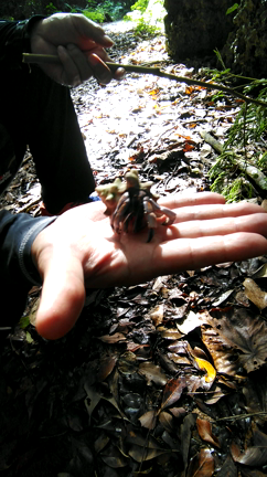 今日はめちゃ良き日でしたの記事動画