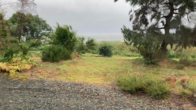 滋賀でも違いますの記事動画