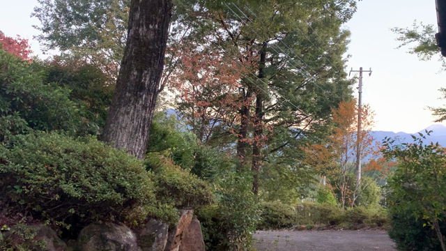 五感でとらえる時の流れの記事動画