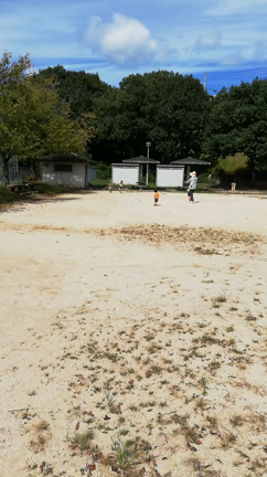 公園がいいの記事動画