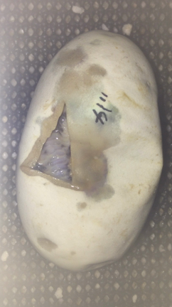 本当に、たくさんの感情でいっぱいになる2ヶ月間。。の記事動画