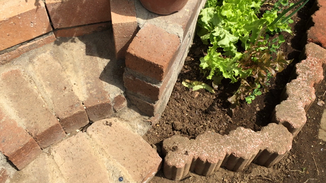 SK8easy-California 2016-70の記事動画