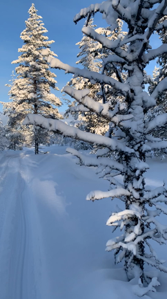 フィンランドの雪。の記事動画