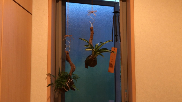 『帰還不能点』しっかりお稽古できるのは今日までの記事動画