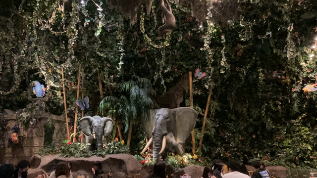 親のエゴで心が折れたお出かけ@舞浜の記事動画