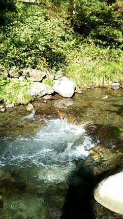 キャンプ②の記事動画