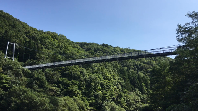 栗が人気な季節ですね・・・の記事動画