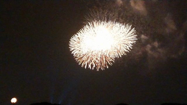 海花火の記事動画