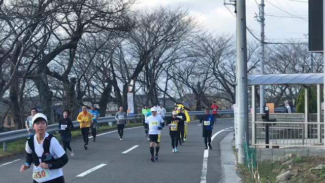 ハーフマラソン完走しました！の記事動画