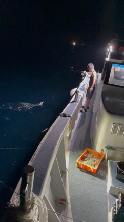 白イカ爆釣！！の記事動画