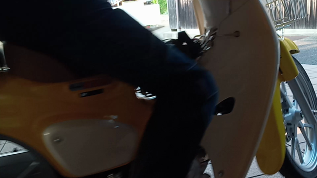 テントウ虫♪の記事動画