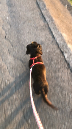 元気です、2019の記事動画