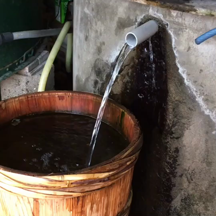 乙女杜氏ちゃんねる　収録現場を撮影してみた件の記事動画