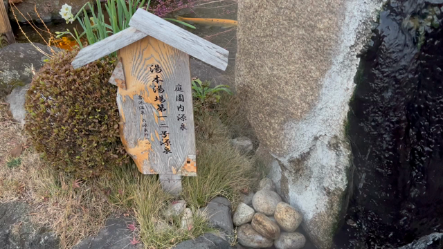 神様に感謝ですねの記事動画