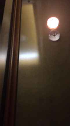 ひさびさの…の記事動画