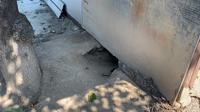 今日は涼しいの記事動画