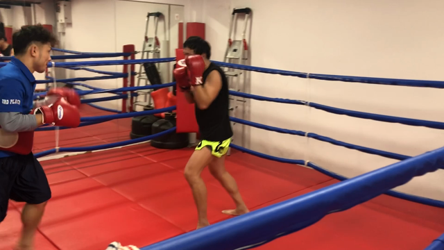トレーニングの記事動画