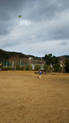 お正月の凧上げの記事動画