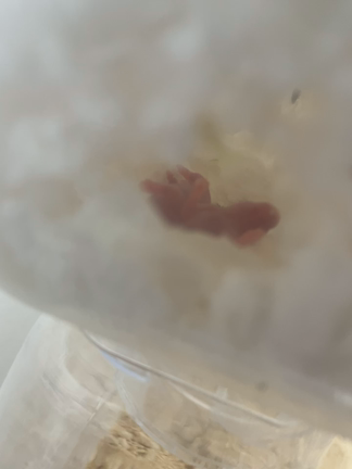 出勤まで@の記事動画