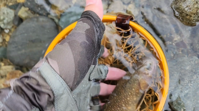 一応今年はちゃんと解禁してる件。の記事動画