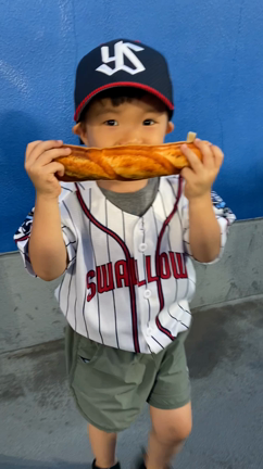 ヤクルトvsベイスターズの記事動画