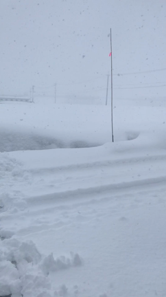 冬休み初スキーの記事動画