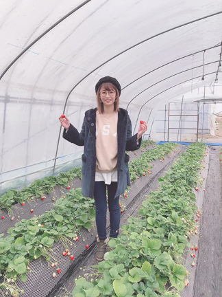 いちご娘。の記事動画