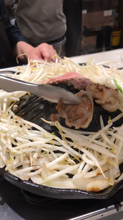 自己責任の下、放題いたしましたm(_ _)mの記事動画