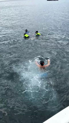 サムイ島 タオ島 ナンユアン島の記事動画