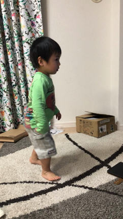 【億を稼ぐ田舎のママ】の記事動画