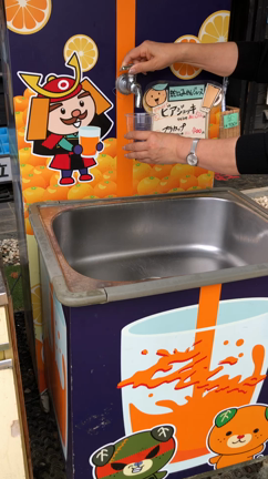 愛媛県で鯛づくしでーすの記事動画