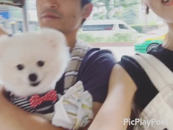 トゥクトゥクの記事動画