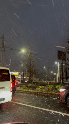雪かぁ～の記事動画
