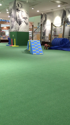 サニーサイドモールの記事動画