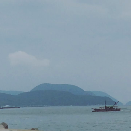 故郷の記事動画