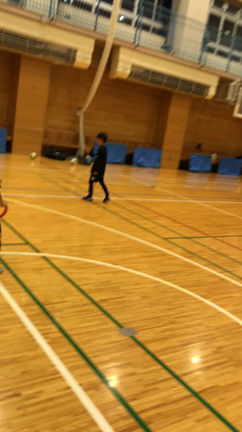 ピヴォトレーニングの記事動画