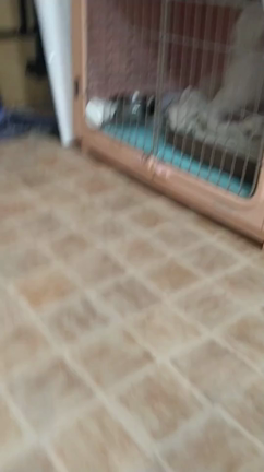 5/27(金)のホテルの様子の記事動画